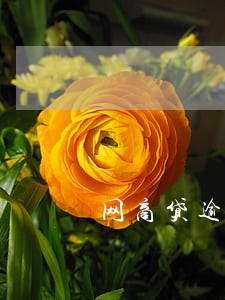网商贷逾期对信用卡有影响没 网商贷逾期对信用卡有影响没
