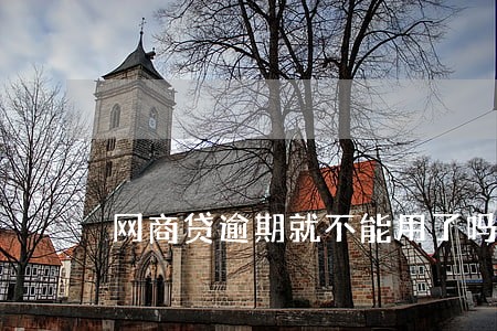 网商贷逾期就不能用了吗 网商贷逾期就不能用了吗