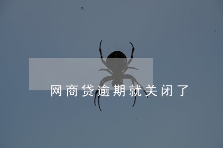 网商贷逾期就关闭了 网商贷逾期就关闭了