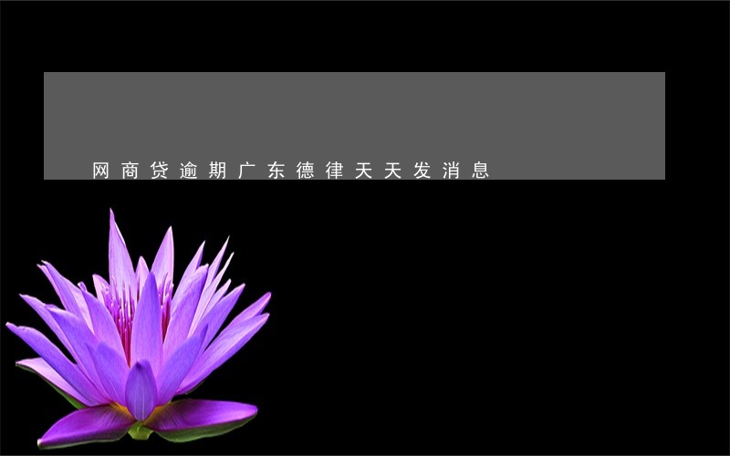 网商贷逾期广东德律天天发消息 网商贷逾期广东德律天天发消息