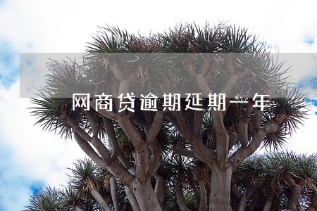 网商贷逾期延期一年 网商贷逾期延期一年
