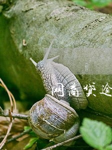 网商贷逾期当前暂无网商贷 网商贷逾期当前暂无网商贷