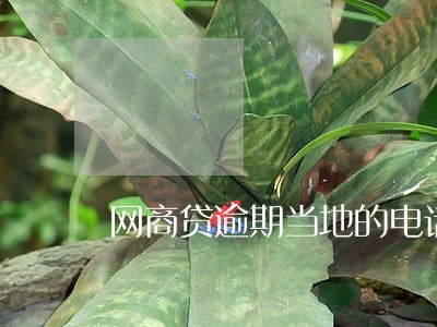 网商贷逾期当地的电话说要上门 网商贷逾期当地的电话说要上门