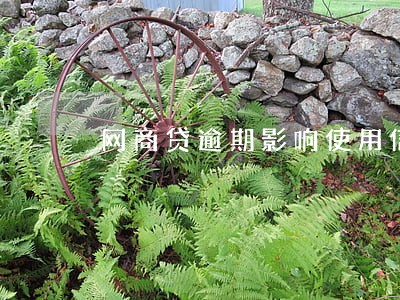 网商贷逾期影响使用信用卡吗