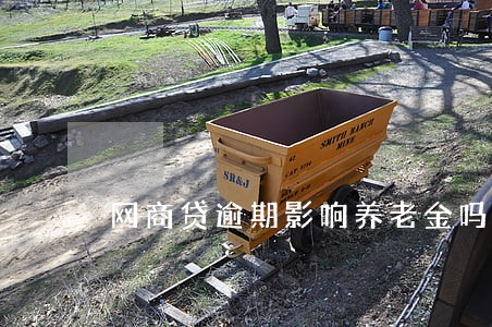 网商贷逾期影响养老金吗 网商贷逾期影响养老金吗