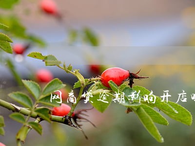 网商贷逾期影响开店吗 网商贷逾期影响开店吗