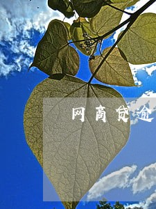 网商贷逾期影响直系亲属 网商贷逾期影响直系亲属