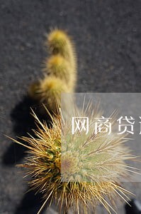 网商贷逾期影响花呗 网商贷逾期影响花呗
