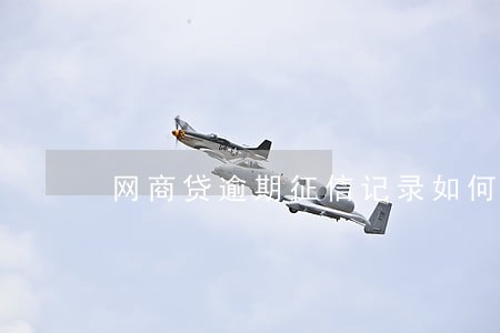 网商贷逾期征信记录如何消除 网商贷逾期征信记录如何消除