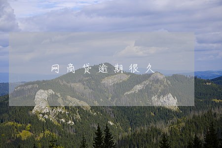 网商贷逾期很久 网商贷逾期很久
