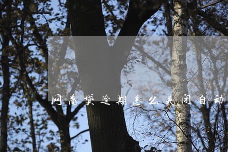 网商贷逾期怎么关闭自动扣款 网商贷逾期怎么关闭自动扣款