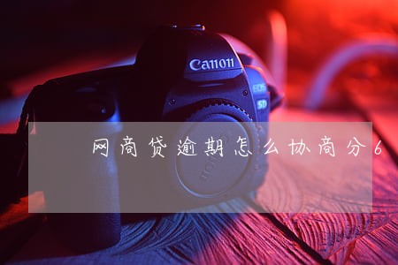 网商贷逾期怎么协商分60期 网商贷逾期怎么协商分60期