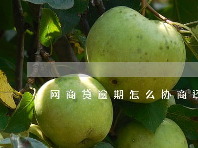 网商贷逾期怎么协商还款 网商贷逾期怎么协商还款