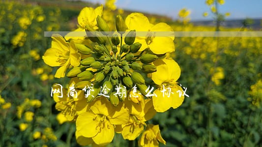 网商贷逾期怎么协议