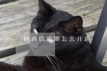 网商贷逾期怎么开通 网商贷逾期怎么开通
