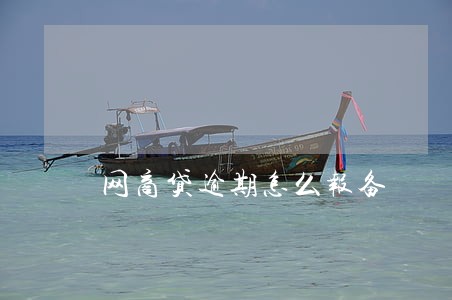 网商贷逾期怎么报备 网商贷逾期怎么报备