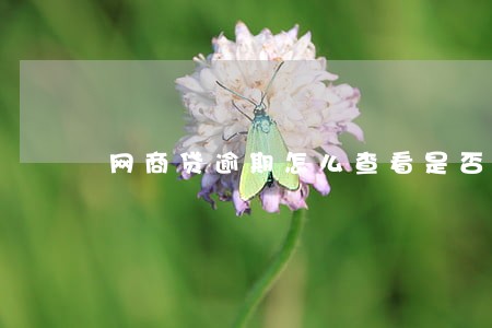 网商贷逾期怎么查看是否还有额度 网商贷逾期怎么查看是否还有额度