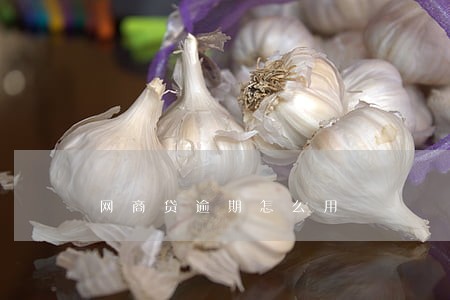 网商贷逾期怎么用 网商贷逾期怎么用