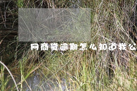 网商贷逾期怎么知道我公司 网商贷逾期怎么知道我公司