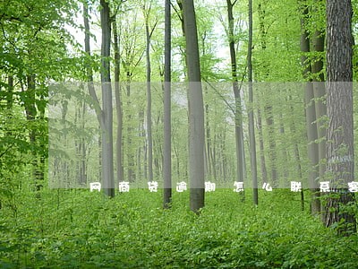 网商贷逾期怎么联系客服分期 网商贷逾期怎么联系客服分期