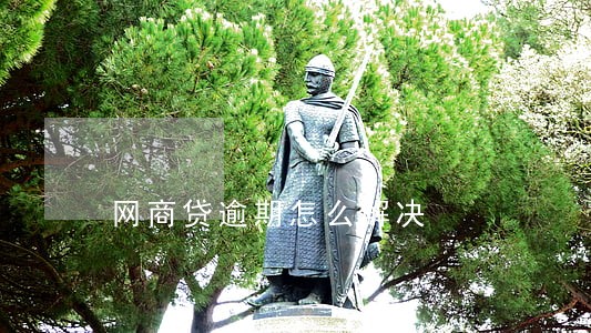 网商贷逾期怎么解决