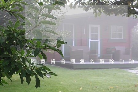 网商贷逾期怎么解除自动扣款 网商贷逾期怎么解除自动扣款