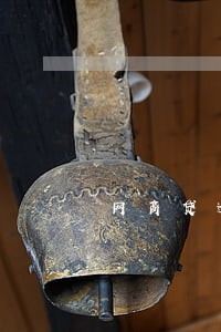 网商贷逾期怎么调查 网商贷逾期怎么调查