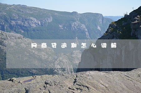网商贷逾期怎么调解 网商贷逾期怎么调解