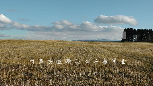 网商贷逾期怎么还备用金 网商贷逾期怎么还备用金