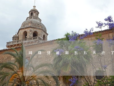 网商贷逾期怎五天还了 网商贷逾期怎五天还了