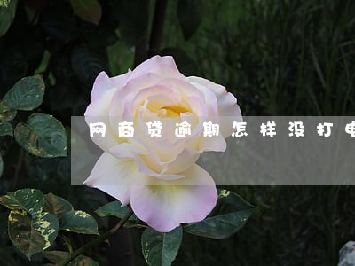 网商贷逾期怎样没打电话 网商贷逾期怎样没打电话