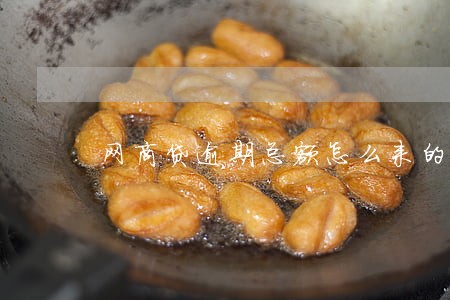 网商贷逾期总额怎么来的 网商贷逾期总额怎么来的