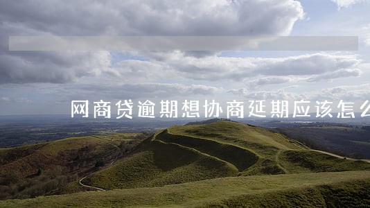 网商贷逾期想协商延期应该怎么说 网商贷逾期想协商延期应该怎么说