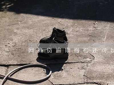 网商贷逾期慢慢还可以吗 网商贷逾期慢慢还可以吗