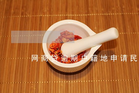 网商贷逾期户籍地申请民事调解 网商贷逾期户籍地申请民事调解