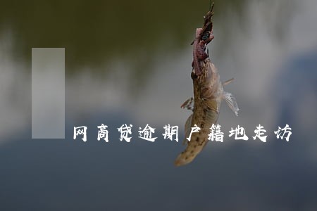 网商贷逾期户籍地走访 网商贷逾期户籍地走访