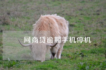 网商贷逾期手机停机 网商贷逾期手机停机