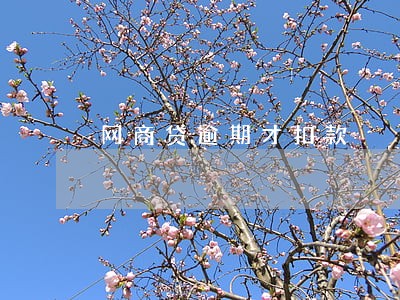 网商贷逾期才扣款 网商贷逾期才扣款