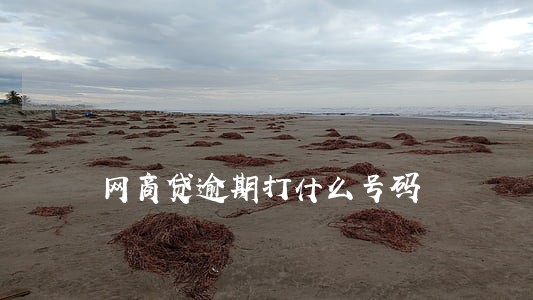 网商贷逾期打什么号码 网商贷逾期打什么号码