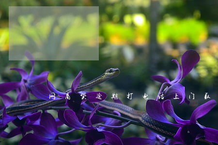 网商贷逾期打电话上门取证 网商贷逾期打电话上门取证