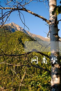 网商贷逾期打电话催收 网商贷逾期打电话催收