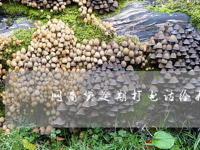 网商贷逾期打电话给好友 网商贷逾期打电话给好友