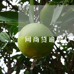 网商贷逾期打电话给朋友