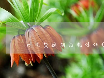 网商贷逾期打电话让填写报备单 网商贷逾期打电话让填写报备单