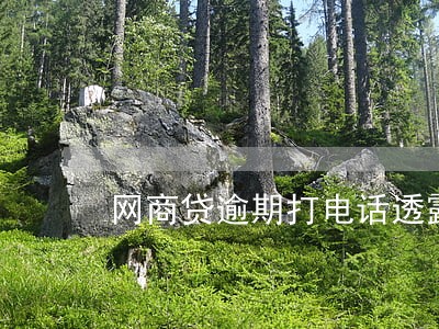 网商贷逾期打电话透露给家人 网商贷逾期打电话透露给家人