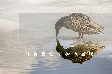 网商贷逾期扣卡里钱 网商贷逾期扣卡里钱