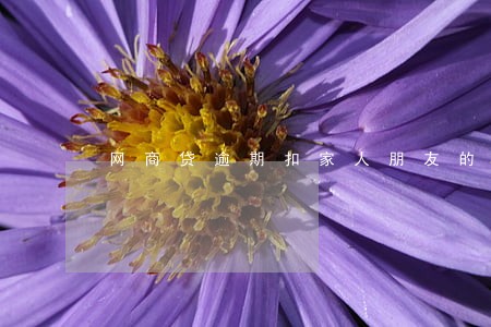 网商贷逾期扣家人朋友的钱 网商贷逾期扣家人朋友的钱