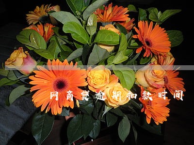 网商贷逾期扣款时间 网商贷逾期扣款时间