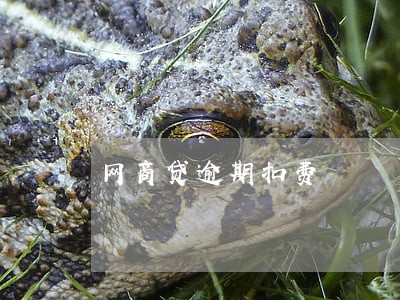 网商贷逾期扣费