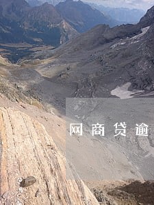 网商贷逾期找谁解决问题 网商贷逾期找谁解决问题